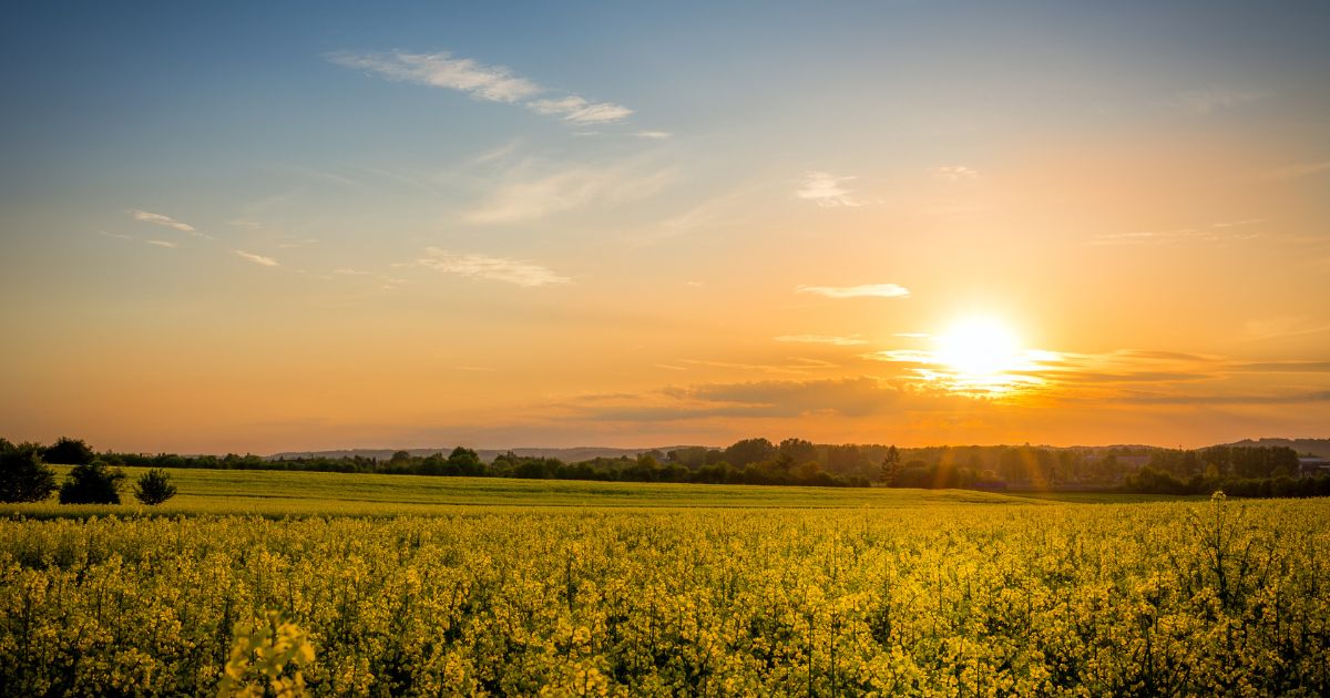 The sun rising in the east and shining over a wide green fields